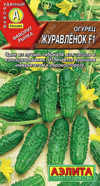 Concombre "Zhuravlenok" F1